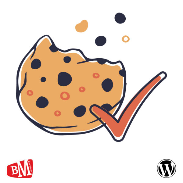 Module BMSCookies WordPress par BM Services